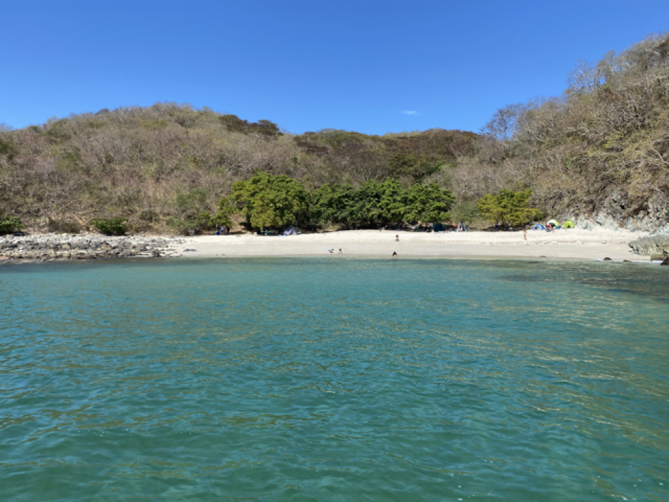 Palito Verde Renta de Yates Puerto Vallarta