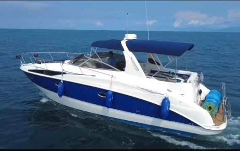 Bayliner 36 Bip Charters Yacht Charter Puerto Vallarta