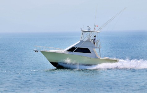 Cabo 35 Bip Charters Yacht Charter Puerto Vallarta