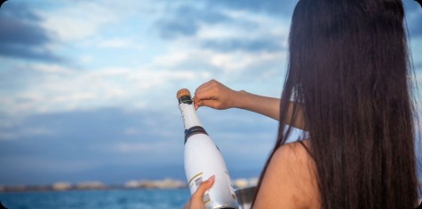 Custom C45 Bip Charters Renta de Yates en Puerto Vallarta