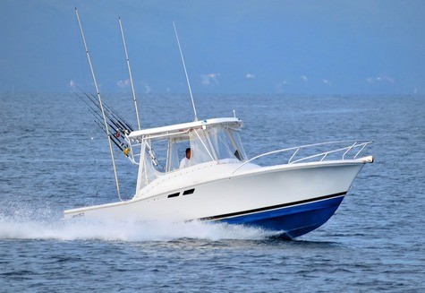 Luhrs 25 Bip Charters Yacht Charter Puerto Vallarta