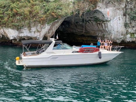 Sea Ray 460 Bip Charters Renta de Yates en Puerto Vallarta