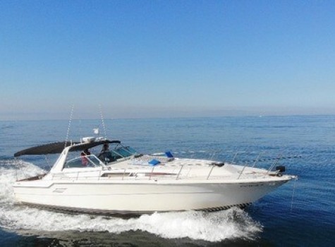 Sea Ray 460 Bip Charters Yacht Charter Puerto Vallarta Sea Ray 460 Bip Charters Yacht Charter Puerto Vallarta