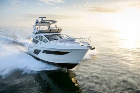 Sea Ray L55 fly (2018) Bip Charters Renta de Yates en Puerto Vallarta