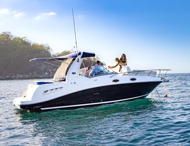 Sundancer 260 (2008) Bip Charters Yacht Charter Puerto Vallarta