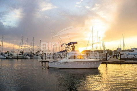 Uniflite 28 Bip Charters Yacht Charter Puerto Vallarta